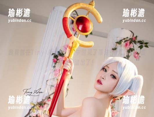 我竟然在Tiny Asa的图片中瞥见了蒂法·洛克哈特，资源都快溢出了！